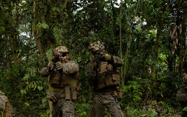 Four armed military personnel in full combat gear are conducting a patrol or tactical movement through dense jungle/tropical vegetation. The soldiers are wearing woodland digital camouflage uniforms consistent with U.S. Marine Corps MARPAT pattern, with tactical vests, helmets, and are carrying rifles in a ready position. The setting appears to be a tropical forest environment, suggesting a jungle warfare training exercise or operational patrol.
