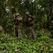 Four armed military personnel in full combat gear are conducting a patrol or tactical movement through dense jungle/tropical vegetation. The soldiers are wearing woodland digital camouflage uniforms consistent with U.S. Marine Corps MARPAT pattern, with tactical vests, helmets, and are carrying rifles in a ready position. The setting appears to be a tropical forest environment, suggesting a jungle warfare training exercise or operational patrol.