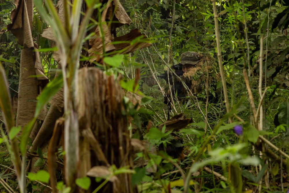 A person wearing a ghillie suit and camouflage hat is concealed within dense tropical jungle vegetation, aiming a scoped rifle or optical device. The subject is heavily camouflaged with natural-looking foliage attached to their suit, blending effectively into the surrounding environment. The image appears to depict a military or tactical training exercise in a jungle setting.