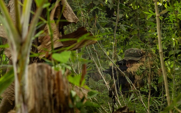 A person wearing a ghillie suit and camouflage hat is concealed within dense tropical jungle vegetation, aiming a scoped rifle or optical device. The subject is heavily camouflaged with natural-looking foliage attached to their suit, blending effectively into the surrounding environment. The image appears to depict a military or tactical training exercise in a jungle setting.