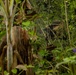 A person wearing a ghillie suit and camouflage hat is concealed within dense tropical jungle vegetation, aiming a scoped rifle or optical device. The subject is heavily camouflaged with natural-looking foliage attached to their suit, blending effectively into the surrounding environment. The image appears to depict a military or tactical training exercise in a jungle setting.