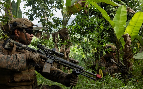 Two military personnel in MARPAT (Marine pattern) camouflage uniforms are conducting what appears to be a jungle patrol or training exercise in a dense tropical environment with banana trees and heavy vegetation. The foreground soldier is in a kneeling position aiming a rifle equipped with an optic scope, while a second soldier is visible in the background in a standing position. The setting and uniforms suggest a U.S. Marine Corps exercise in a tropical region.
