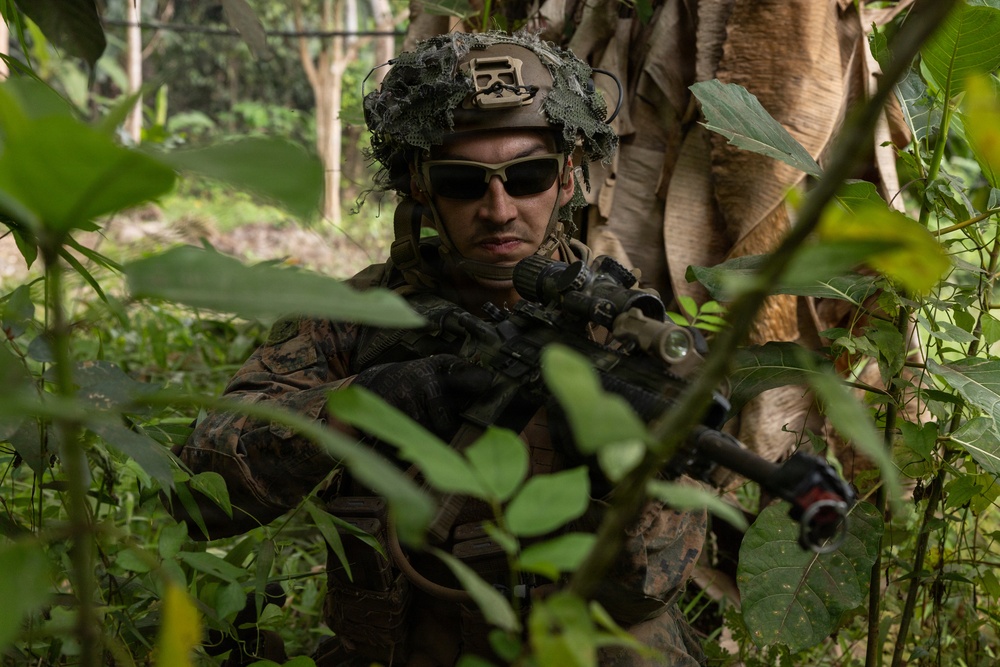 A soldier in full combat gear is positioned in dense jungle vegetation, holding a rifle in a ready stance. The individual is wearing MARPAT (Marine pattern) camouflage uniform, a tactical helmet with foliage camouflage cover and mounted equipment, and dark sunglasses. The setting appears to be a tropical jungle environment, consistent with a military training exercise or patrol operation.