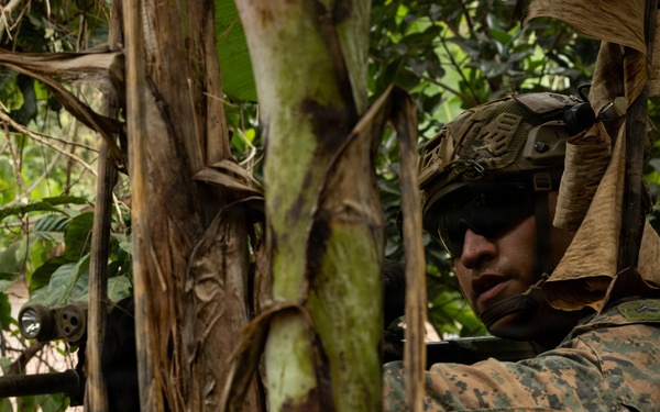 A U.S. Marine in full combat gear is positioned in dense jungle vegetation, aiming a rifle with a mounted flashlight and yellow training/blank-firing adapter attached to the muzzle. The Marine is wearing MARPAT (Marine Pattern) digital camouflage uniform, a tactical helmet with accessories, and body armor. The setting appears to be a jungle training exercise based on the lush tropical foliage and the presence of training equipment on the weapon.