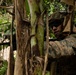 A U.S. Marine in full combat gear is positioned in dense jungle vegetation, aiming a rifle with a mounted flashlight and yellow training/blank-firing adapter attached to the muzzle. The Marine is wearing MARPAT (Marine Pattern) digital camouflage uniform, a tactical helmet with accessories, and body armor. The setting appears to be a jungle training exercise based on the lush tropical foliage and the presence of training equipment on the weapon.