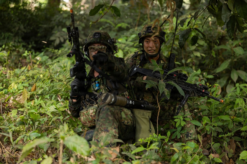 Two soldiers in woodland camouflage uniforms are positioned in dense jungle vegetation, appearing to be conducting a military training exercise or patrol. Both are armed and equipped with tactical gear including helmets, body armor, and communication equipment. Their posture and positioning suggest they are taking cover or conducting a reconnaissance halt.