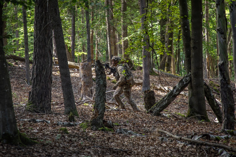 A single armed soldier in military uniform and helmet moves through a dense deciduous and coniferous forest. The individual is carrying a rifle and wearing a tactical backpack, suggesting a patrol or training exercise in a woodland environment. The forest floor is covered with fallen leaves and scattered fallen logs.
