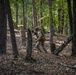 A single armed soldier in military uniform and helmet moves through a dense deciduous and coniferous forest. The individual is carrying a rifle and wearing a tactical backpack, suggesting a patrol or training exercise in a woodland environment. The forest floor is covered with fallen leaves and scattered fallen logs.