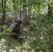 A soldier in full camouflage gear and helmet moves through dense woodland vegetation. The individual is partially obscured by surrounding foliage, suggesting a tactical movement or patrol exercise in a forested training environment. The soldier appears to be carrying a weapon and wearing a full combat kit.