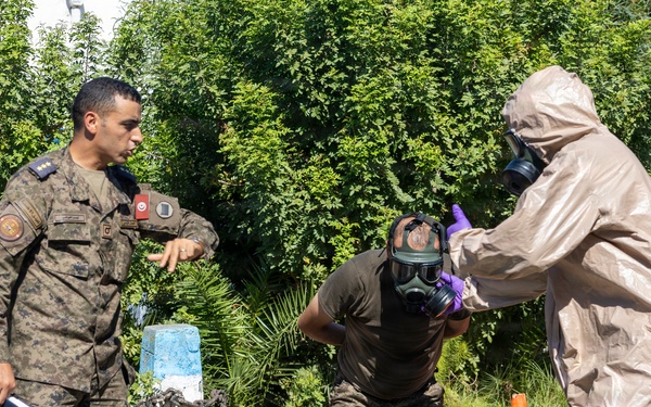 Allies, partners train together during Phoenix Express 2026
