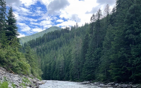 A fast-moving mountain river flows through a densely forested valley flanked by conifer-covered slopes. The river displays active whitewater rapids and riffles, with a rocky shoreline visible on the left bank. A forested mountain peak is visible in the background under a partly cloudy sky.