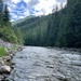 A fast-moving mountain river flows through a densely forested valley flanked by conifer-covered slopes. The river displays active whitewater rapids and riffles, with a rocky shoreline visible on the left bank. A forested mountain peak is visible in the background under a partly cloudy sky.