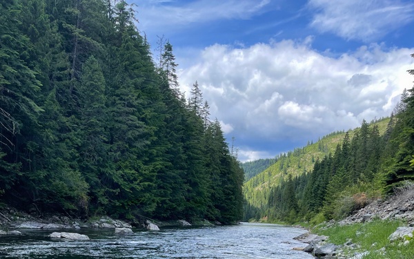 A clear, fast-moving river flows through a forested mountain valley flanked by dense coniferous trees on both sides. The foreground shows a rocky shoreline with green grass, while the river curves gently into the distance beneath a partly cloudy blue sky. The scene suggests a remote, wilderness setting likely in the Pacific Northwest or Northern Rocky Mountain region.