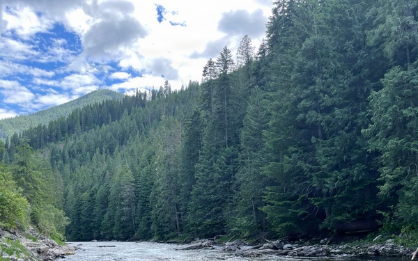 A fast-moving mountain river flows through a dense coniferous forest, with rocky shorelines on both sides. The scene depicts a wild, undisturbed natural landscape with forested hillsides rising in the background. The water shows visible white-water turbulence, suggesting a strong current over a rocky riverbed.