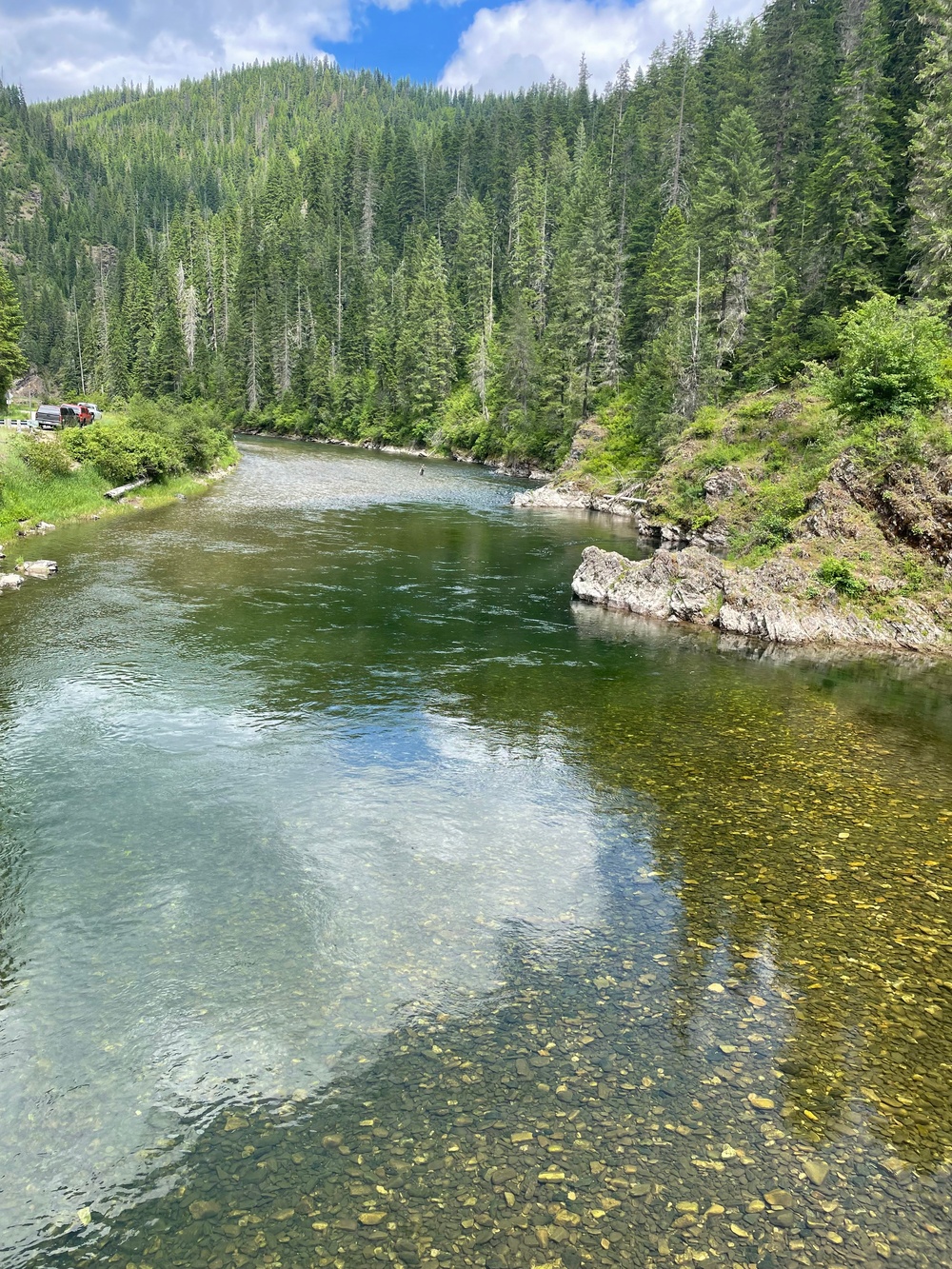 A clear, shallow mountain river winds through a dense coniferous forest, with rocky outcroppings visible along the right bank. The water is exceptionally transparent, revealing a rocky riverbed with algae-covered stones in the foreground. Vehicles are parked along a road on the left bank, suggesting a public access point or recreational area.