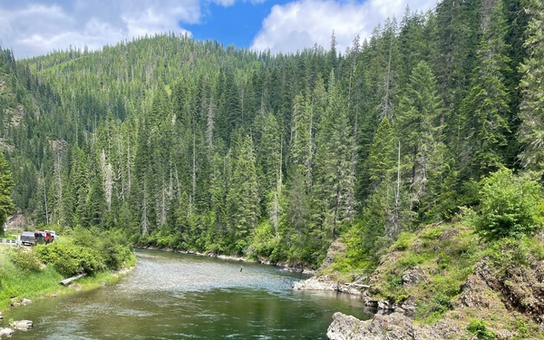 A clear, shallow mountain river winds through a dense coniferous forest, with rocky outcroppings visible along the right bank. The water is exceptionally transparent, revealing a rocky riverbed with algae-covered stones in the foreground. Vehicles are parked along a road on the left bank, suggesting a public access point or recreational area.