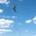 TACP Airmen master vertical infiltration A military training exercise is underway in an open grassy field, with one soldier suspended high in the air on a rope, likely rappelling or being hoisted from a helicopter above the frame. Several personnel on the ground are managing guide ropes and safety lines. The setting appears to be a daytime outdoor training area with treeline in the background.