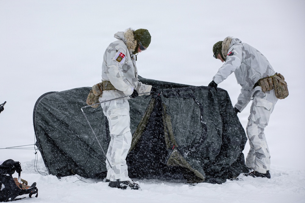 Two military personnel in white winter camouflage uniforms are setting up or dismantling a dark-colored tent in heavy snowfall conditions. Both individuals wear patches on their sleeves that appear to be Danish flags, suggesting they are members of the Danish Armed Forces. The scene depicts cold-weather field operations in an arctic or subarctic environment.