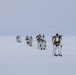 A column of military personnel in white winter camouflage uniforms are skiing across a vast, flat, snow-covered terrain under an overcast sky. They are equipped with ski poles, heavy backpacks, and what appear to be rifles slung across their backs. The formation stretches into the distance, suggesting a long-range arctic patrol or cold-weather military exercise.