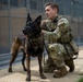 One Hundred and One Military Working Dogs: A Military Veterinarian's purpose