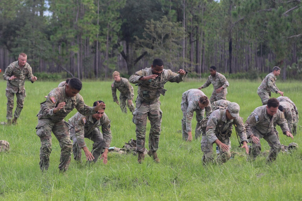 A group of military personnel in camouflage uniforms are conducting physical training or a field exercise in an open grassy area. The soldiers appear to be performing ground-based drills, with some crouching, crawling, or rising from the ground. The setting appears to be a military training ground bordered by a tree line.