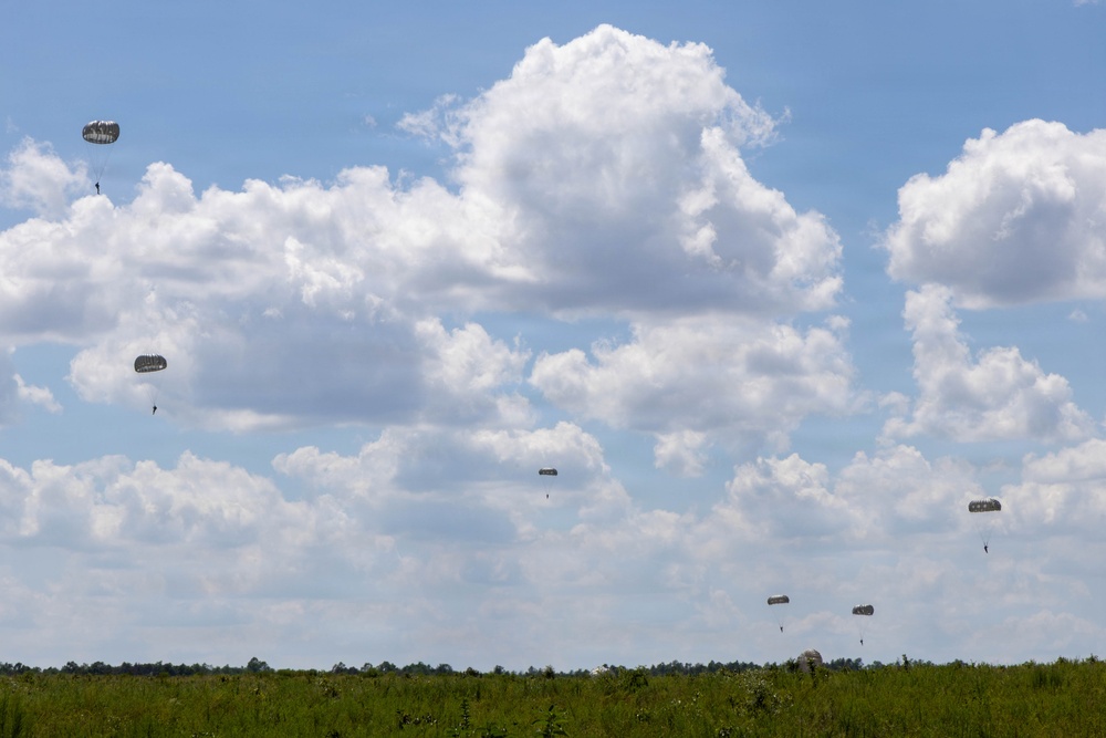 The image shows a military airborne operation with multiple paratroopers descending over a flat, open grassy field under a partly cloudy blue sky. Approximately six to seven parachutes are visible at various altitudes, suggesting a mass tactical jump. The scene appears to be a training exercise or operational jump onto a drop zone.