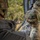 TACP students receive rappel training Military personnel in full combat gear are seated inside a helicopter in flight, looking out over a densely wooded, hilly terrain below. At least three individuals wearing Operational Camouflage Pattern (OCP) uniforms and tactical helmets with communication equipment are visible. One helmet bears a visible 'TACP' label, indicating Tactical Air Control Party personnel.