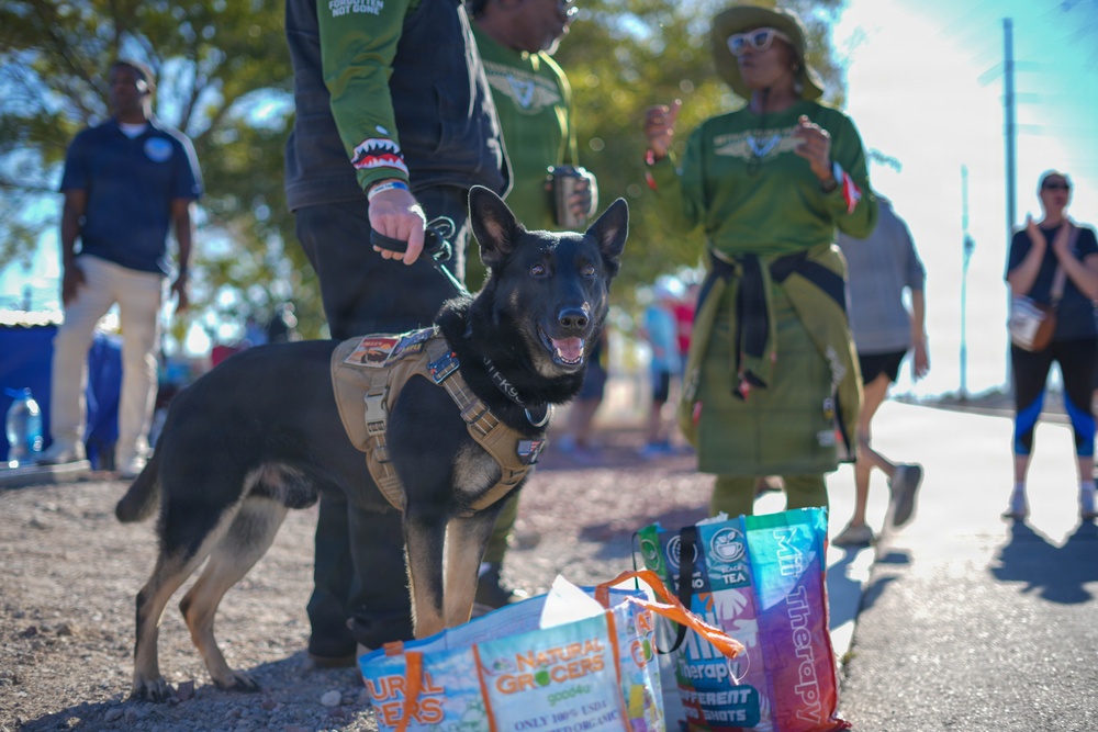 A black and tan German Shepherd wearing a tactical/service harness stands at an outdoor public event, appearing alert and happy with mouth open. Several people dressed in matching green shirts are gathered in the background, suggesting an organized group event or walk. Shopping bags from Natural Grocers and other brands are visible on the ground near the dog.