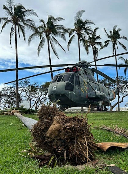 A military helicopter marked with the number '5' is displayed on a grassy area, likely a static display or monument, surrounded by storm damage including a uprooted palm tree in the foreground. The scene suggests recent severe weather, possibly a typhoon or hurricane, evidenced by downed vegetation, debris, and palm trees bent by wind in the background. The setting appears to be a tropical location, possibly a military base or memorial park.