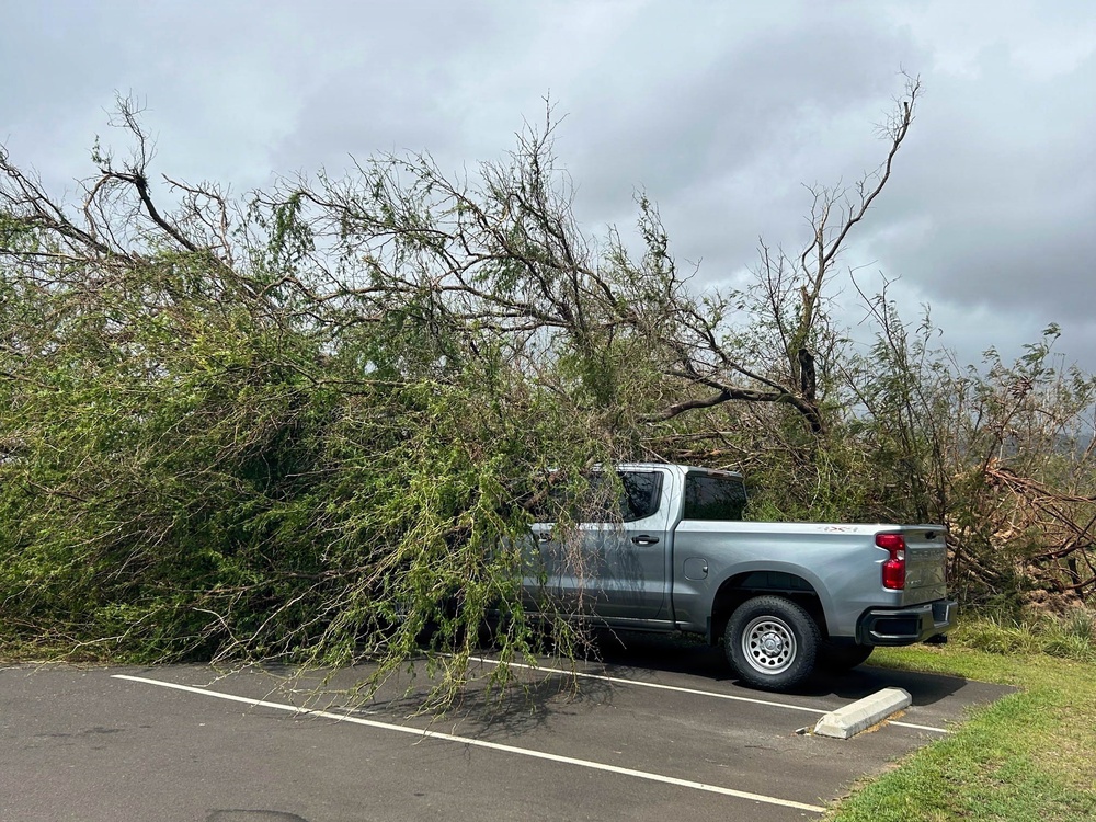 A gray Chevrolet pickup truck is partially covered by a large fallen tree in a parking lot, likely the result of a severe storm or high winds. The tree has toppled onto the truck's cab and bed area, with branches and foliage spread across the vehicle. The overcast, dark sky in the background is consistent with post-storm conditions.