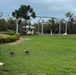 The image shows a grassy area, likely near a facility entrance or checkpoint, with visible storm or wind damage including downed trees and debris. Two geese, appearing to be Nēnē (Hawaiian geese), are walking on the lawn in the foreground. The scene suggests post-storm conditions with overcast skies and structural damage visible in the background.