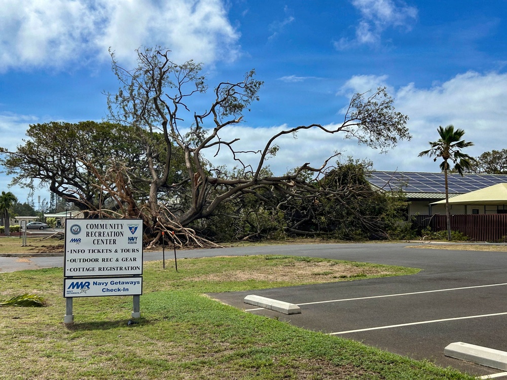 A large tree has been uprooted and fallen, likely due to a severe storm or high winds, in the parking lot area of a Navy MWR Community Recreation Center. The fallen tree's root system is fully exposed and the canopy sprawls across the ground near the facility's signage. The building in the background, which features solar panels on its roof, appears undamaged.