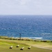 A coastal grassy hillside overlooks a deep blue, choppy ocean under an overcast sky. Four identical small robotic or wheeled devices with white wing-like attachments are arranged in a row on the green lawn. A dark wooden cross or post stands near the cliff edge, and a wooden bench or table is visible to the right.