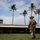 U.S. Marines with 3rd LCT participate in a live-fire basic skills package A fully equipped military soldier in desert camouflage (MARPAT pattern) stands on a grass field facing away from the camera, observing a low-profile building with red support columns. The tropical setting is indicated by several tall coconut palm trees and a warm, partly cloudy sky. The scene appears to be a military training exercise or security patrol at a tropical installation.