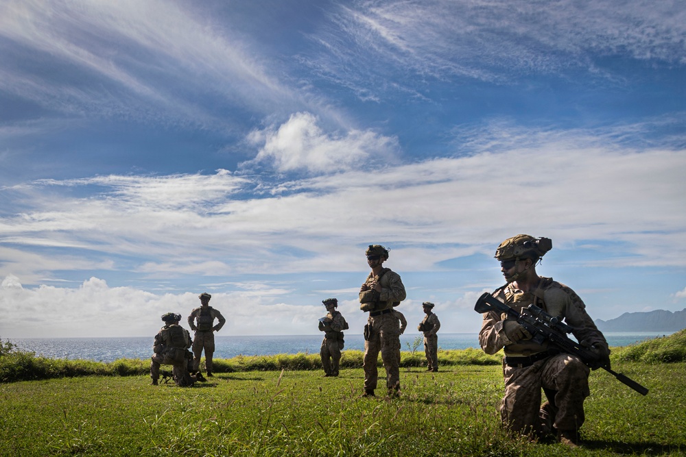 A group of military personnel in full combat gear are positioned across an open grassy field overlooking a coastal body of water. The foreground soldier is kneeling with a rifle at the ready, while others stand in dispersed formation behind. The setting appears to be a tropical or subtropical coastal location based on the lush vegetation and ocean backdrop.