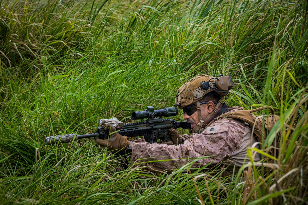 A military service member in desert MARPAT camouflage is in a prone firing position concealed within tall green grass. The individual is aiming a rifle equipped with an optical scope and tactical accessories. The setting appears to be a field training exercise or operational environment.