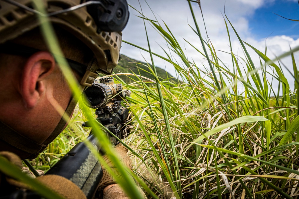 A soldier in tactical military gear is positioned low in tall grass, aiming a rifle equipped with an optical scope. The image is taken from ground level, emphasizing the concealment position within the vegetation. The setting appears to be an outdoor field environment with hills and a partly cloudy sky visible in the background.