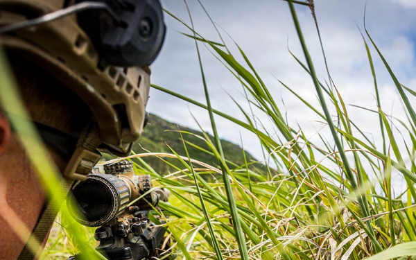 U.S. Marines with 3rd LCT participate in a live-fire basic skills package