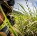 A soldier in tactical military gear is positioned low in tall grass, aiming a rifle equipped with an optical scope. The image is taken from ground level, emphasizing the concealment position within the vegetation. The setting appears to be an outdoor field environment with hills and a partly cloudy sky visible in the background.
