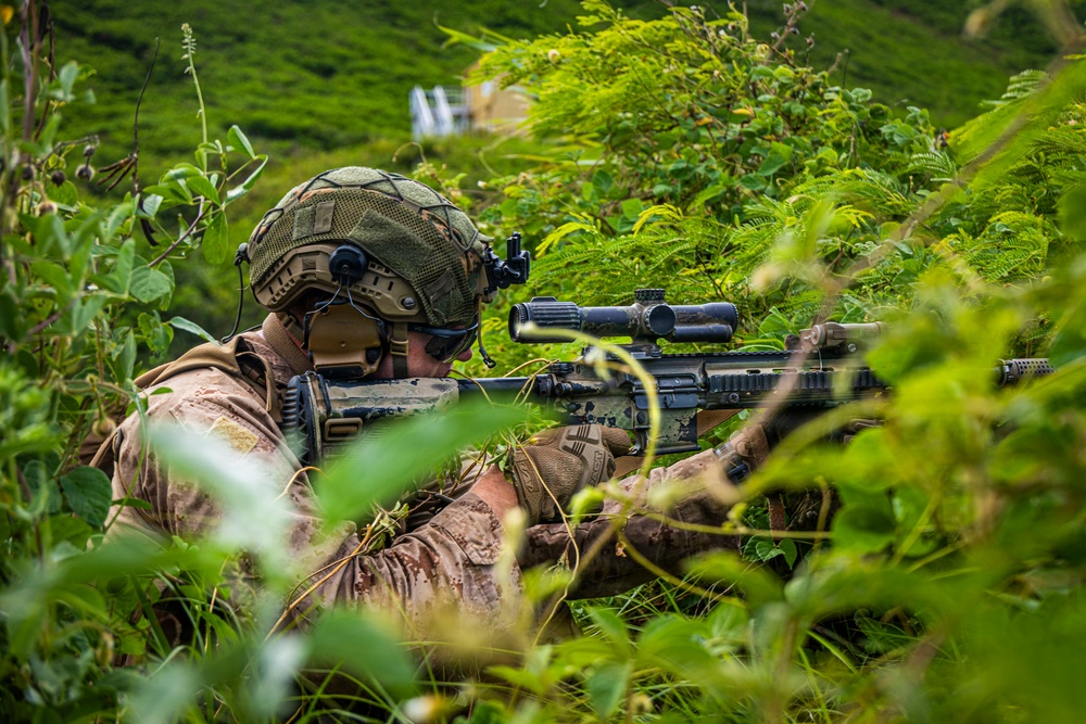 A soldier in full tactical gear is positioned prone in dense vegetation, aiming a rifle equipped with an optical scope. The individual is wearing desert camouflage uniform, a tactical helmet with accessories, and protective gloves. The setting appears to be a lush, green outdoor environment, consistent with a training exercise or field operation.