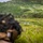 U.S. Marines with 3rd LCT participate in a live-fire basic skills package A military or law enforcement training exercise is taking place at an outdoor shooting range set in a lush, hilly green landscape. A shooter in the foreground, wearing a camouflage helmet and tactical gear, is aiming downrange at two white humanoid silhouette targets positioned in the field. The range appears to be a live-fire facility with safety markers, roads, and a red flag visible in the background.