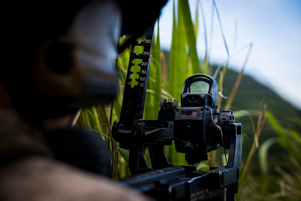 A close-up photograph of a military or tactical firearm with an optical sight (holographic/red dot sight) mounted on it. A range-graduated rear sight is visible with markings from 50 to 300 meters. The shooter is partially visible in the background, positioned in vegetation that appears to be tall grass or sugarcane.
