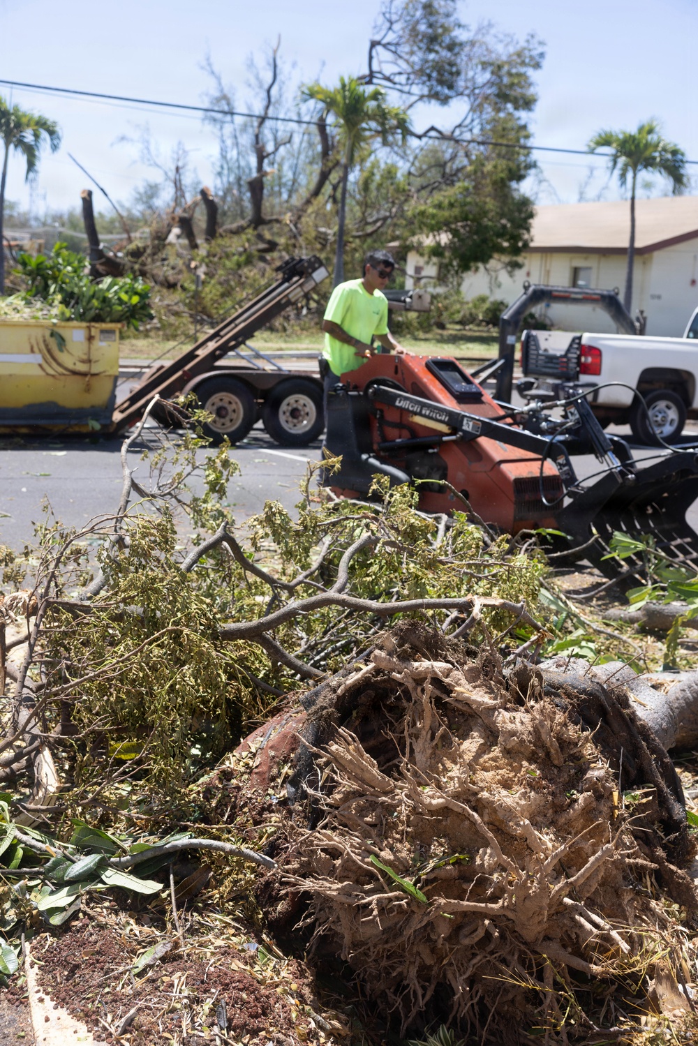 A worker in a bright green shirt operates a Ditch Witch skid steer loader during post-storm debris cleanup operations. The foreground shows an uprooted tree with exposed root ball and scattered branches, while the background reveals heavily damaged and stripped trees consistent with major storm damage. A yellow dumpster and white pickup truck are also visible in the staging area.