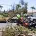 A worker in a bright green shirt operates a Ditch Witch skid steer loader during post-storm debris cleanup operations. The foreground shows an uprooted tree with exposed root ball and scattered branches, while the background reveals heavily damaged and stripped trees consistent with major storm damage. A yellow dumpster and white pickup truck are also visible in the staging area.