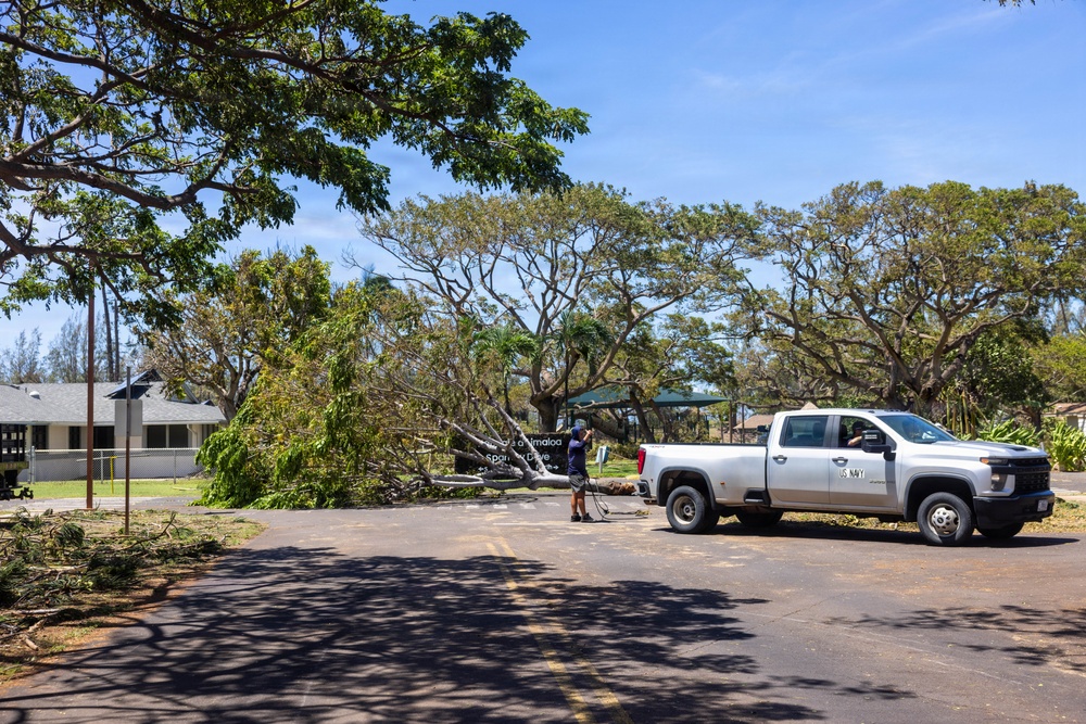 A US Navy pickup truck is parked near a fallen tree that is blocking or partially obstructing a road or parking area. A worker appears to be using a cable or rope, likely attached to the truck, to assist in removing the downed tree. The scene suggests storm damage cleanup operations at what appears to be a military installation.