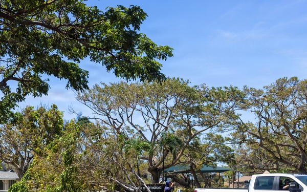 A US Navy pickup truck is parked near a fallen tree that is blocking or partially obstructing a road or parking area. A worker appears to be using a cable or rope, likely attached to the truck, to assist in removing the downed tree. The scene suggests storm damage cleanup operations at what appears to be a military installation.