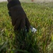 A gloved hand is reaching down to pick up a piece of litter from a grassy area. The glove is dark brown/black and appears to be a tactical or work-style glove. This appears to document a cleanup or litter removal activity.