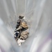 The image shows a collection of small rocks and stones of varying colors and textures, visible through a transparent plastic bag or sheet. The rocks range from dark black/charcoal to light gray and tan/yellow hues, with what appears to be a small dried twig or plant stem among them. The plastic material creates a soft, diffused framing effect around the central subject.