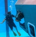 An underwater photograph taken in a training pool shows a scuba diver in a black wetsuit with yellow fins assisting a second person who is exiting or entering through a window or hatch of a submerged simulated aircraft or vehicle fuselage. The scene appears to be a military or emergency survival training exercise, likely helicopter underwater escape training (HUET). Air bubbles are visible rising from the diver's regulator toward the surface.