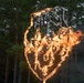 A large sculptural or decorative structure constructed from woven or twisted organic material (likely birch bark or similar) is actively burning with bright orange flames. The structure appears to be heart-shaped or shield-shaped with intricate internal patterns, possibly resembling a face or symbolic design. It is set against a backdrop of dense coniferous forest in dim, overcast lighting.